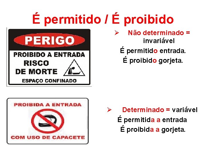 É permitido / É proibido Ø Ø Não determinado = invariável É permitido entrada.