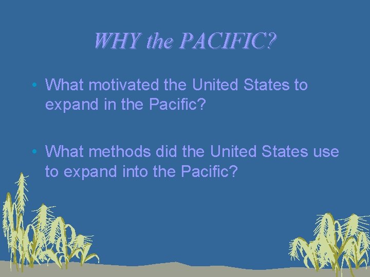 WHY the PACIFIC? • What motivated the United States to expand in the Pacific?