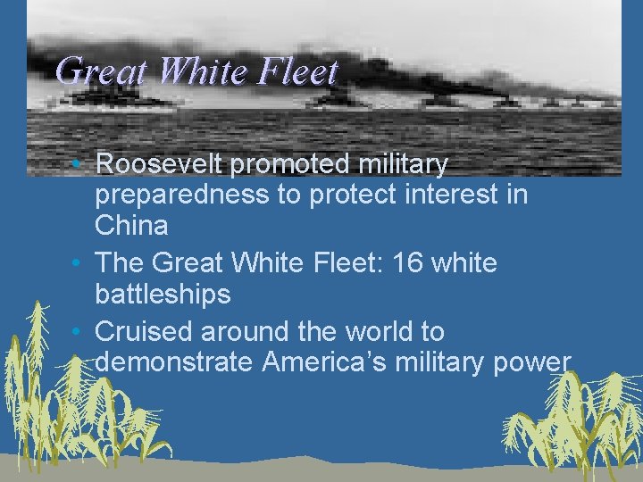 Great White Fleet • Roosevelt promoted military preparedness to protect interest in China •