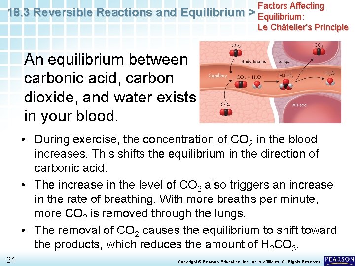 18. 3 Reversible Reactions and Equilibrium Factors Affecting > Equilibrium: Le Châtelier’s Principle An
