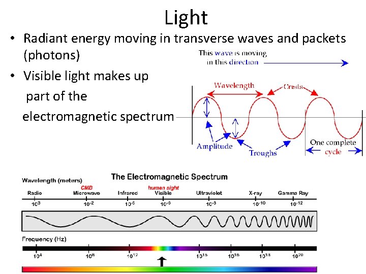 Light • Radiant energy moving in transverse waves and packets (photons) • Visible light