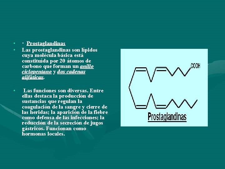  • • · Prostaglandinas Las prostaglandinas son lípidos cuya molécula básica está constituída