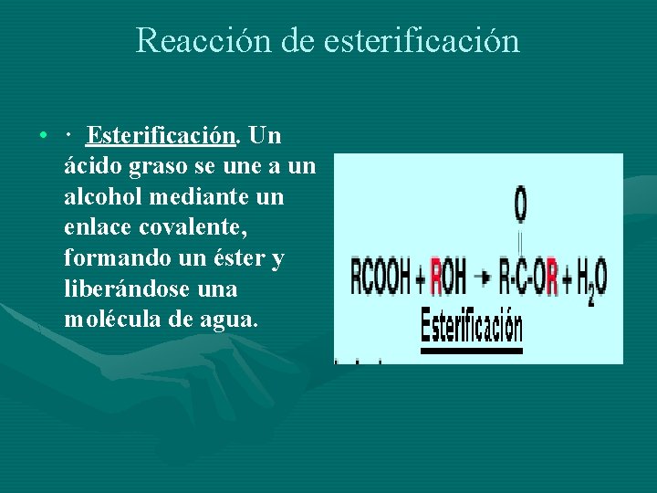 Reacción de esterificación • · Esterificación. Un ácido graso se une a un alcohol