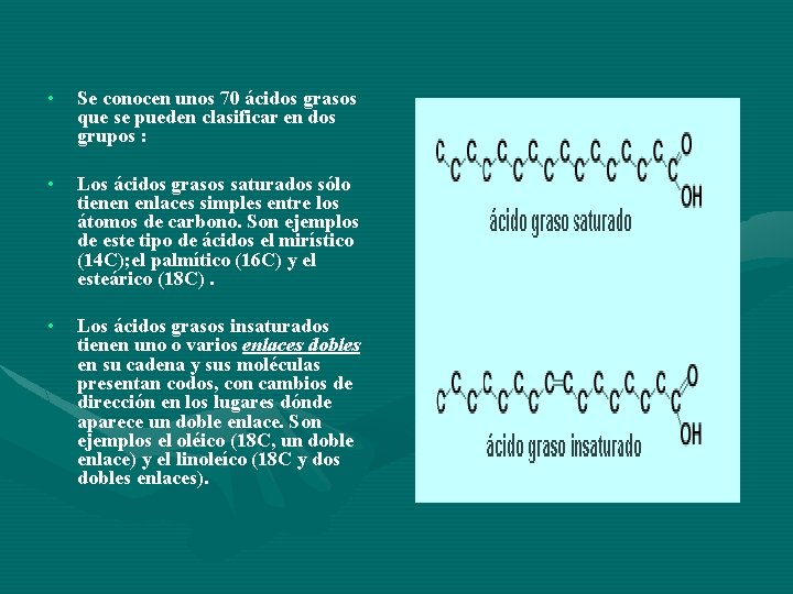  • Se conocen unos 70 ácidos grasos que se pueden clasificar en dos