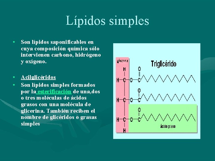 Lípidos simples • Son lípidos saponificables en cuya composición química sólo intervienen carbono, hidrógeno