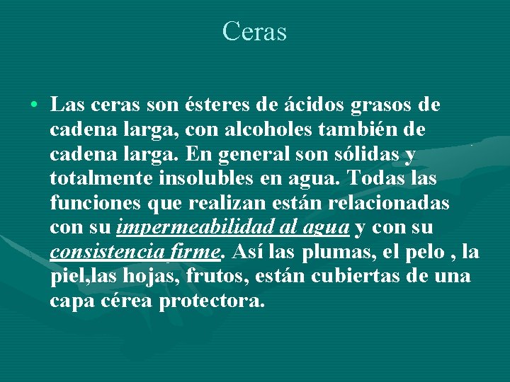 Ceras • Las ceras son ésteres de ácidos grasos de cadena larga, con alcoholes