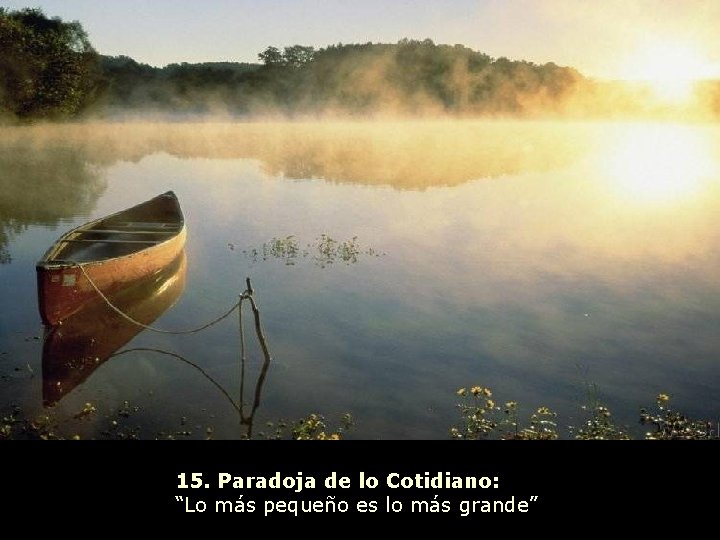 15. Paradoja de lo Cotidiano: “Lo más pequeño es lo más grande” 