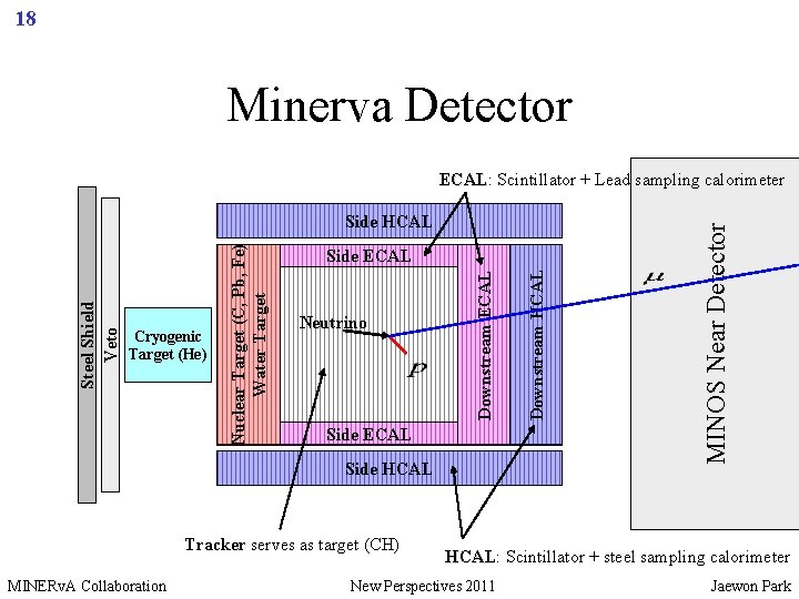 18 Minerva Detector Neutrino Side ECAL Side HCAL Tracker serves as target (CH) MINERv.