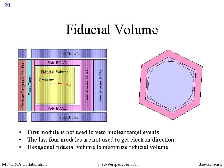 20 Fiducial Volume • First module is not used to veto nuclear target events