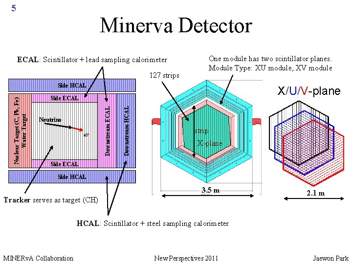 5 Minerva Detector ECAL: ECAL Scintillator + lead sampling calorimeter 127 strips One module
