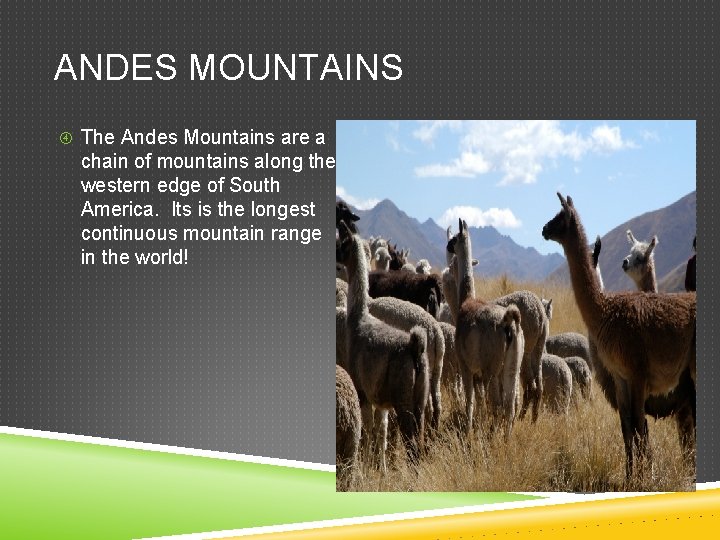 ANDES MOUNTAINS The Andes Mountains are a chain of mountains along the western edge
