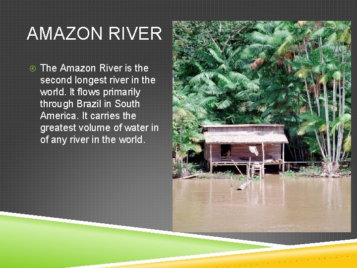 AMAZON RIVER The Amazon River is the second longest river in the world. It