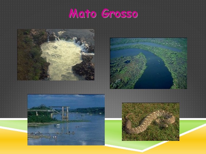 Mato Grosso 