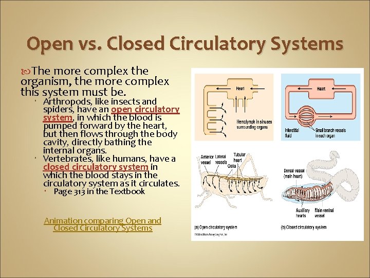 Open vs. Closed Circulatory Systems The more complex the organism, the more complex this
