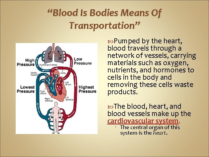 “Blood Is Bodies Means Of Transportation” Pumped by the heart, blood travels through a