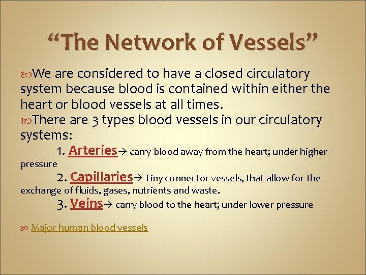 “The Network of Vessels” We are considered to have a closed circulatory system because