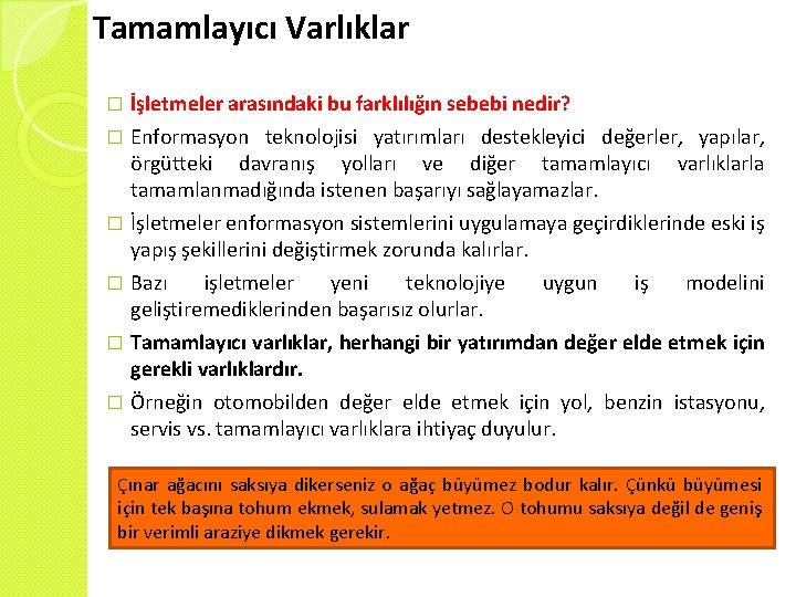 Tamamlayıcı Varlıklar � İşletmeler arasındaki bu farklılığın sebebi nedir? Enformasyon teknolojisi yatırımları destekleyici değerler,