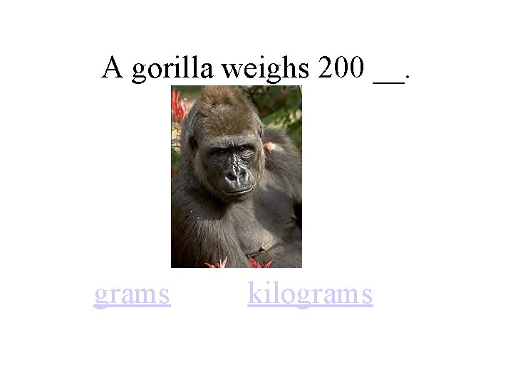 A gorilla weighs 200 __. grams kilograms 