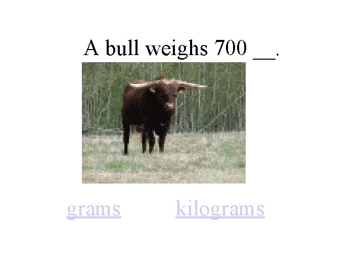 A bull weighs 700 __. grams kilograms 