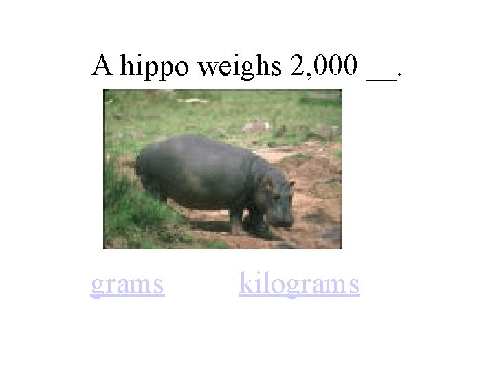 A hippo weighs 2, 000 __. grams kilograms 