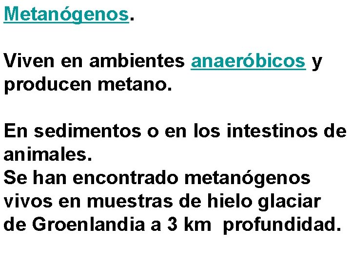 Metanógenos. Viven en ambientes anaeróbicos y producen metano. En sedimentos o en los intestinos