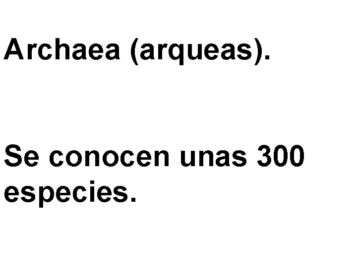 Archaea (arqueas). Se conocen unas 300 especies. 