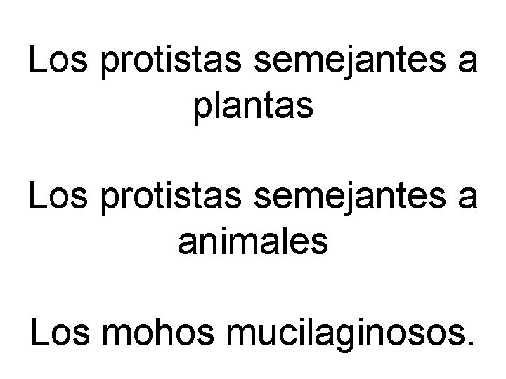 Los protistas semejantes a plantas Los protistas semejantes a animales Los mohos mucilaginosos. 