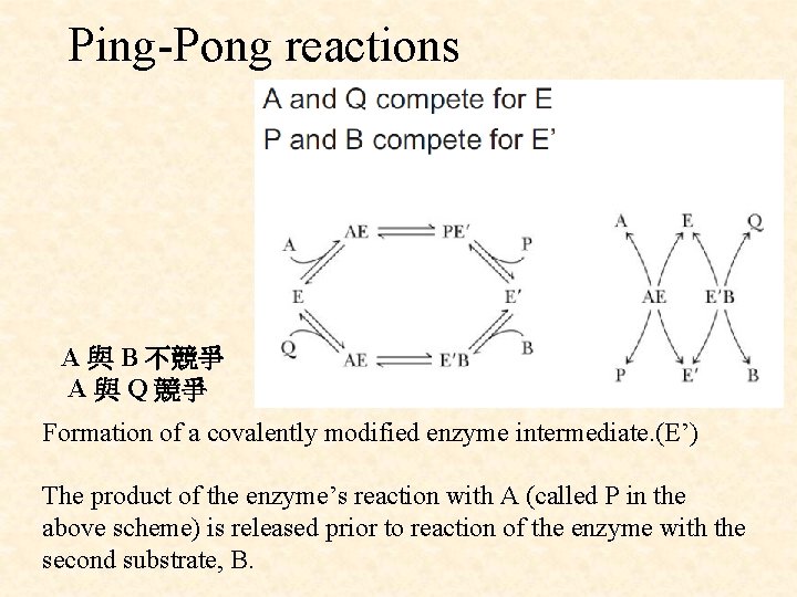 Ping-Pong reactions A 與 B 不競爭 A 與 Q 競爭 Formation of a covalently