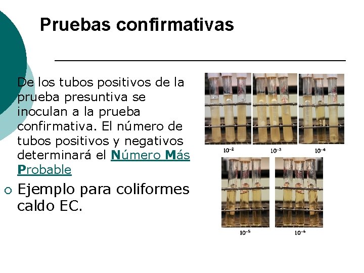 Pruebas confirmativas ¡ ¡ De los tubos positivos de la prueba presuntiva se inoculan