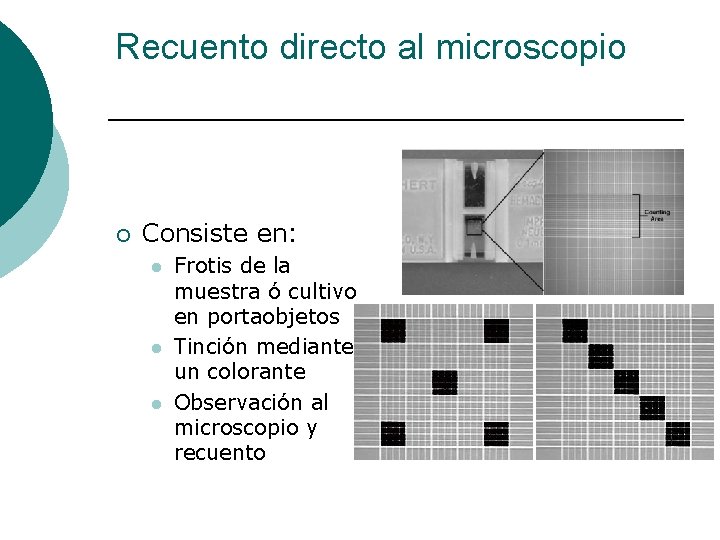 Recuento directo al microscopio ¡ Consiste en: l l l Frotis de la muestra