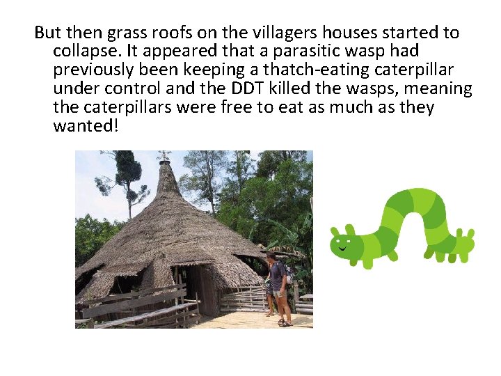 But then grass roofs on the villagers houses started to collapse. It appeared that