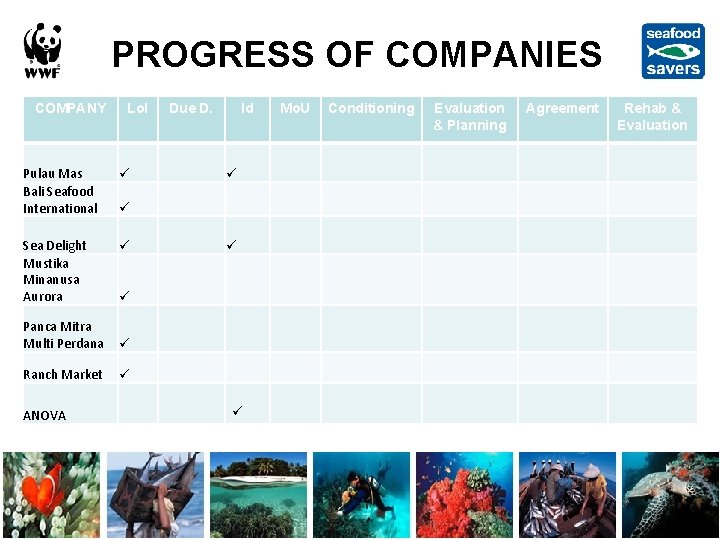PROGRESS OF COMPANIES COMPANY Lo. I Pulau Mas Bali Seafood International Sea Delight Mustika