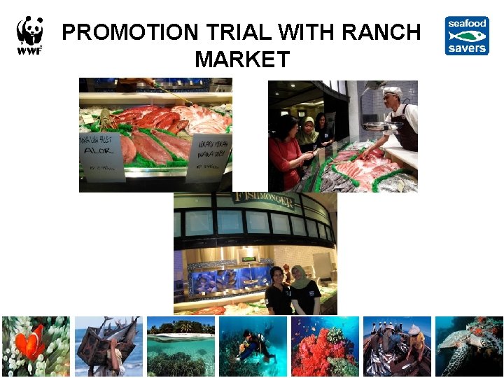 PROMOTION TRIAL WITH RANCH MARKET 