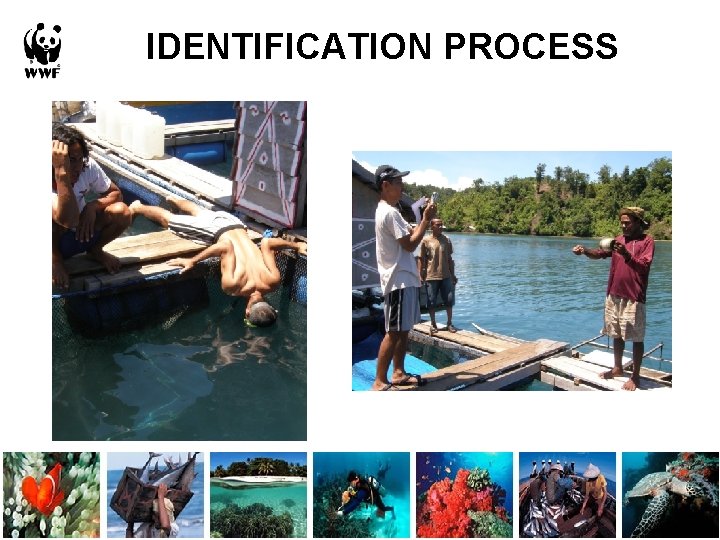 IDENTIFICATION PROCESS 