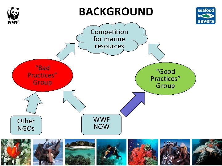 BACKGROUND Competition for marine resources “Bad Practices” Group Other NGOs “Good Practices” Group WWFin