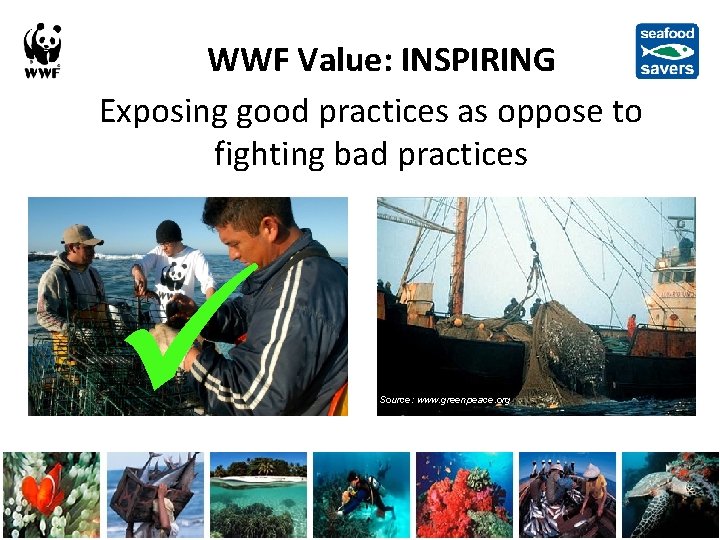 WWF Value: INSPIRING Exposing good practices as oppose to fighting bad practices Source: www.