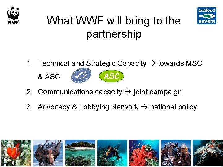 What WWF will bring to the partnership 1. Technical and Strategic Capacity towards MSC