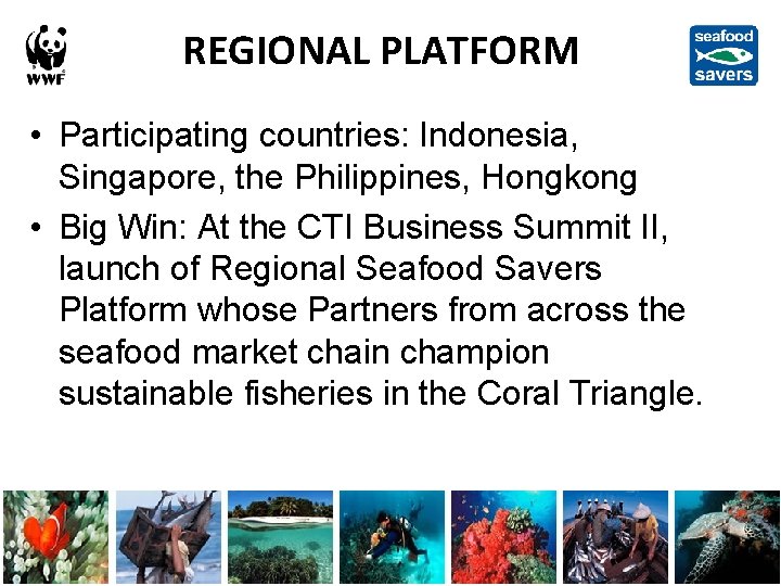 REGIONAL PLATFORM • Participating countries: Indonesia, Singapore, the Philippines, Hongkong • Big Win: At