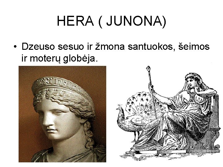 HERA ( JUNONA) • Dzeuso sesuo ir žmona santuokos, šeimos ir moterų globėja. HERA ( JUNONA) • Dzeuso sesuo ir žmona santuokos, šeimos ir moterų globėja.