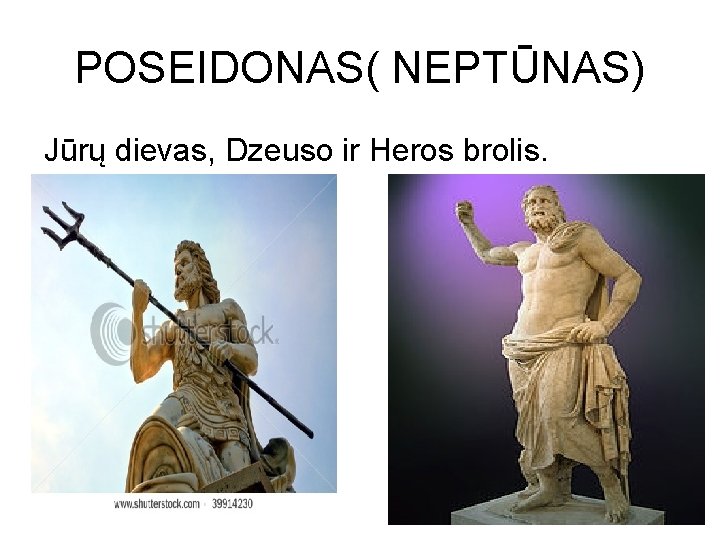 POSEIDONAS( NEPTŪNAS) Jūrų dievas, Dzeuso ir Heros brolis. 