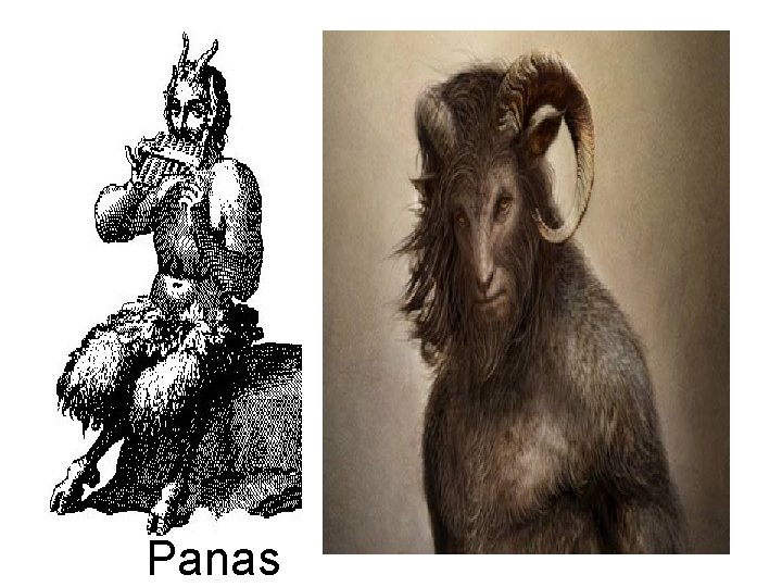 Panas Panas