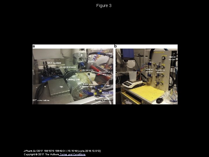 Figure 3 JPharm. Sci 2017 1061075 -1084 DOI: (10. 1016/j. xphs. 2016. 12. 012)