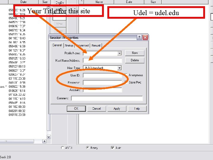 Your Title for this site Udel = udel. edu 