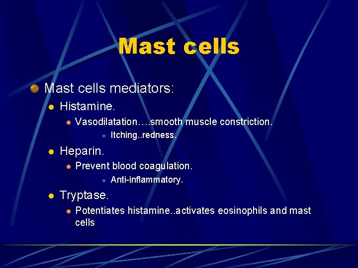 Mast cells mediators: l Histamine. l Vasodilatation…. smooth muscle constriction. l l Heparin. l