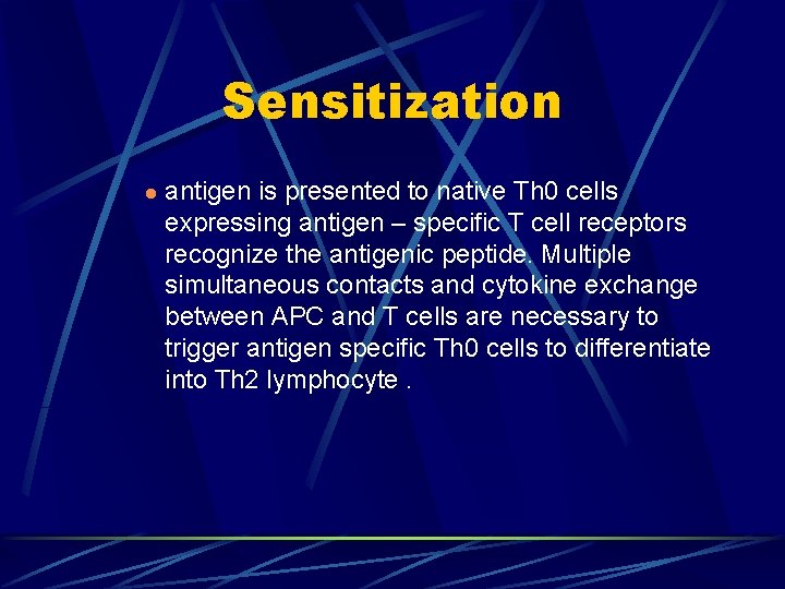 Sensitization l antigen is presented to native Th 0 cells expressing antigen – specific