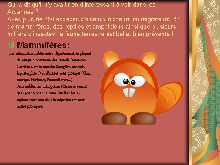 Qui a dit qu'il n'y avait rien d'intéressant à voir dans les Ardennes ? Qui a dit qu'il n'y avait rien d'intéressant à voir dans les Ardennes ?
