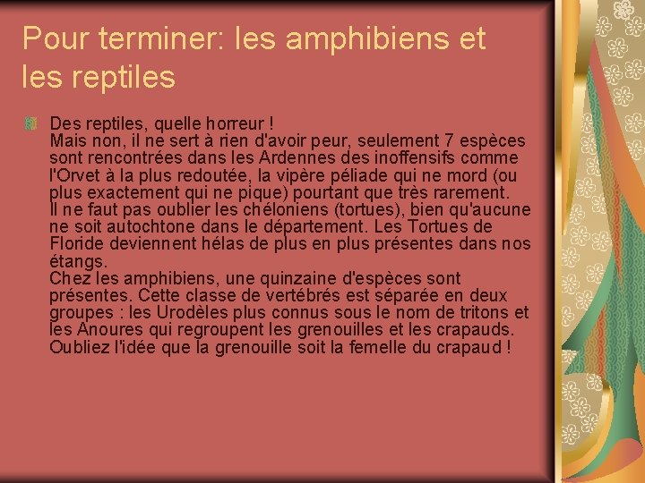 Pour terminer: les amphibiens et les reptiles Des reptiles, quelle horreur ! Mais non, Pour terminer: les amphibiens et les reptiles Des reptiles, quelle horreur ! Mais non,