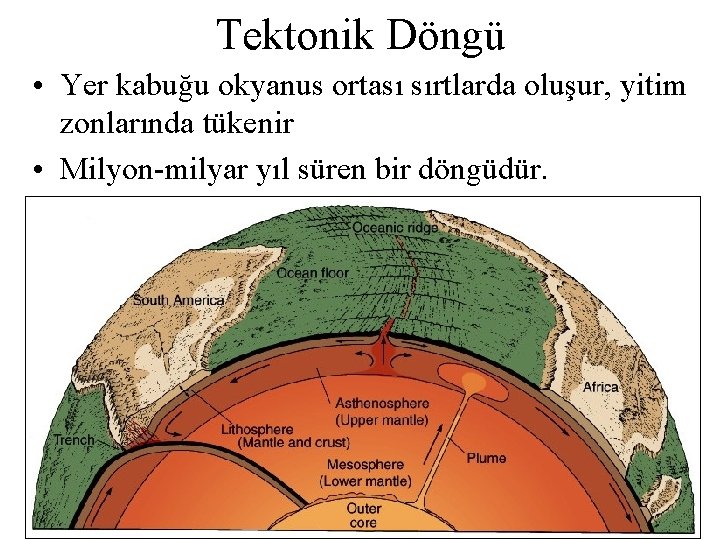 Tektonik Döngü • Yer kabuğu okyanus ortası sırtlarda oluşur, yitim zonlarında tükenir • Milyon-milyar