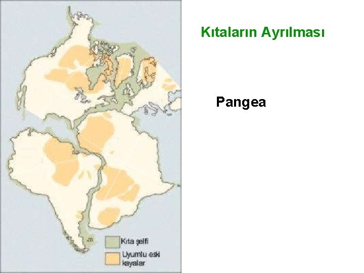 Kıtaların Ayrılması Pangea 