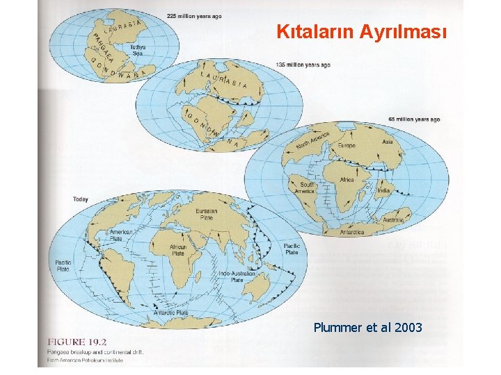 Kıtaların Ayrılması Plummer et al 2003 